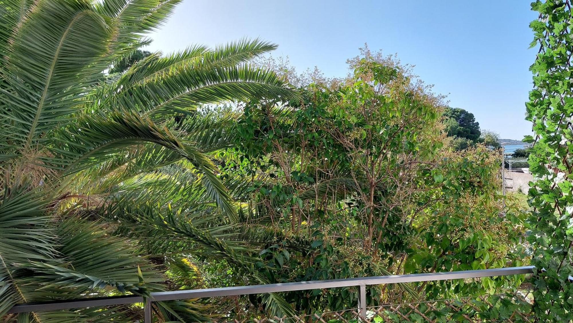 Refresh Boutique Apartments Vodice Quarto foto